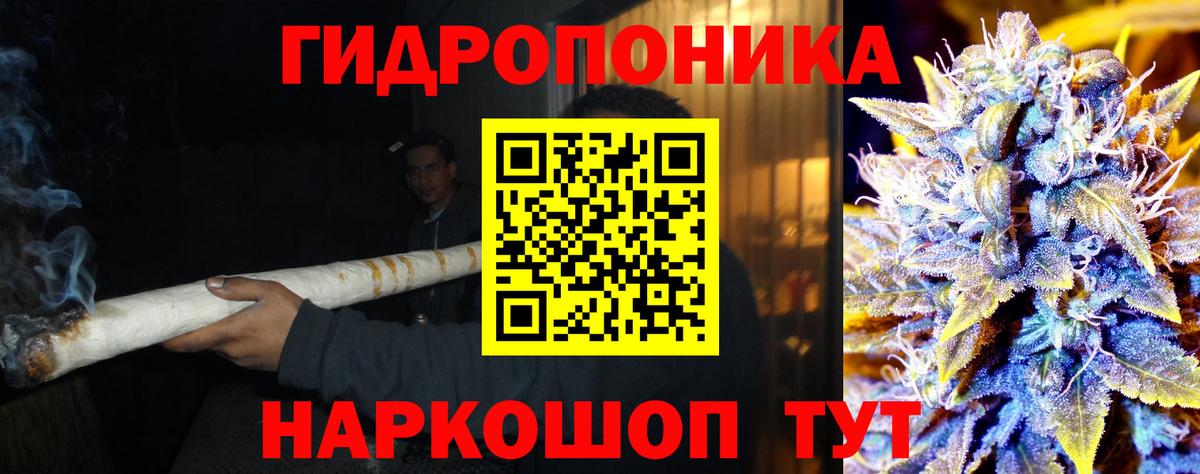 Марихуана Amnesia  Шишки марихуана тримм  Бошки Шишки марихуана  Кондопога  Вход с VPN  МАРИХУАНА план 